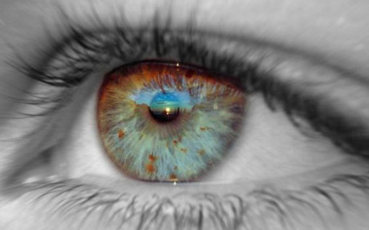 iridologia