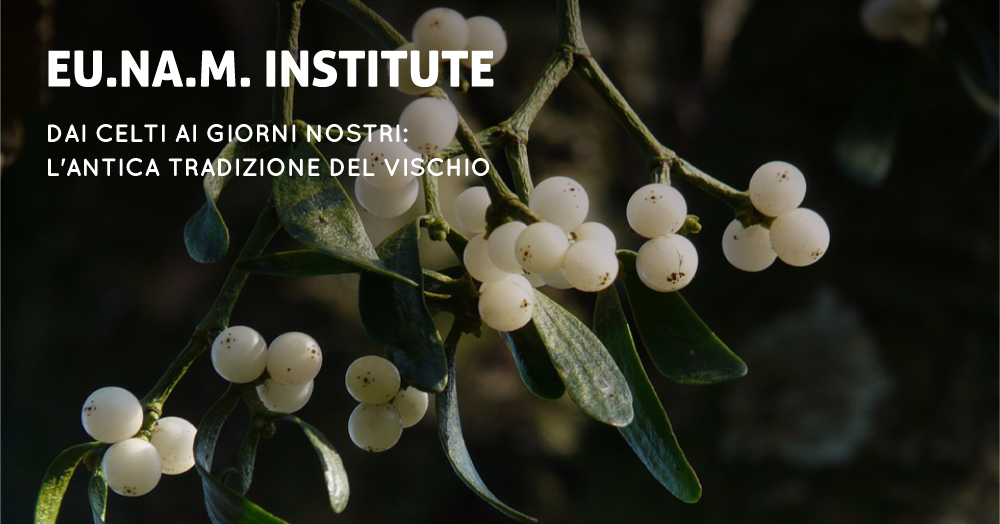 cover_vischio
